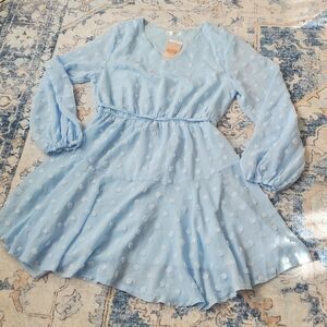 Light Blue Long-Sleeve Swiss Dot Tiered Dress